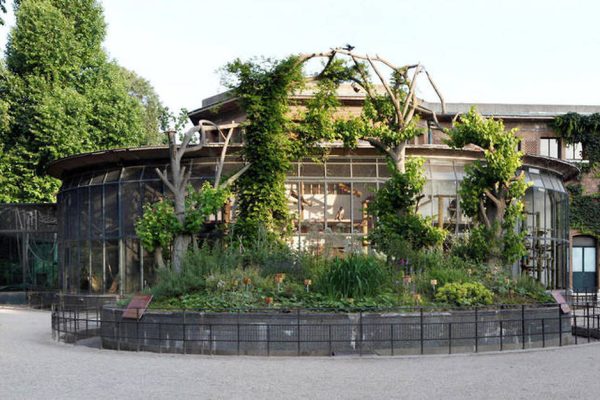 6886675lpw-6887284-article-jardin-des-plantes-paris-france-jpg_4062511_1250x625