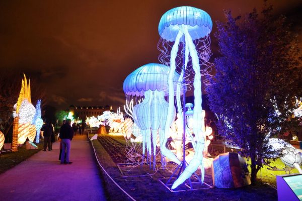 Le Jardin des Plantes
Pour la 3eme année consécutive, le Jardin des Plantes organise une balade nocturne immersive consacrée à l'Evolution sous la forme de structures d'animaux illuminés. 
Plus d'une centaine de structures lumineuses inédites, fruits du travail de recherche et de reconstitution des paléontologues du Muséum, représentent les étonnantes espèces qui ont peuplé la Terre au cours des 600 derniers millions d'années.