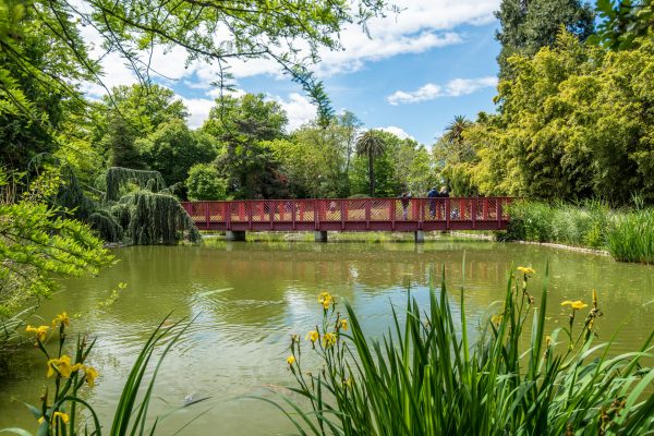 le Jardin des Plantes de Saint-Cyprien s'étend sur presque cinq hectares et permet d’admirer des arbres plus que centenaires et de très nombreuses variétés de palmiers, bambous, camélias et plantes aquatiques.