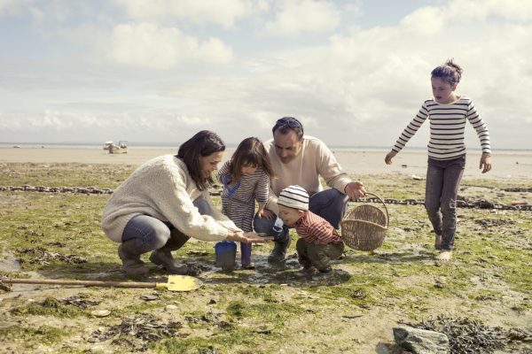 Peche-a-pied-Cancale-scaled