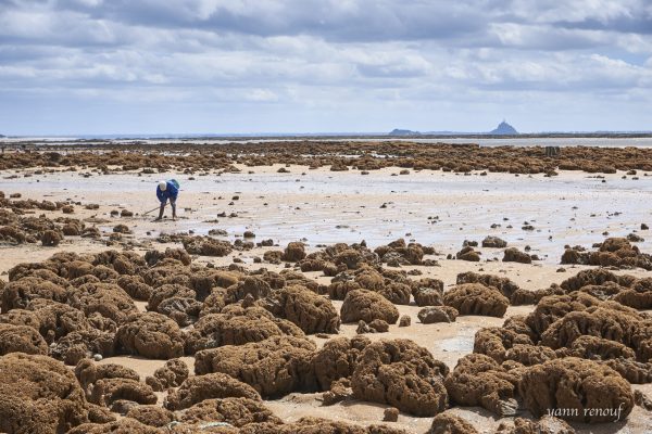 Photo-de-fond-recifs-dHermelles-des-massifs-vivants-scaled