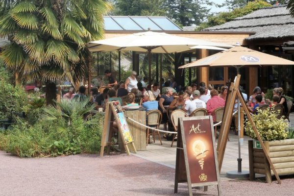TERRASSE-RESTAURANT-Zoo-de-Champrepus-1024x675