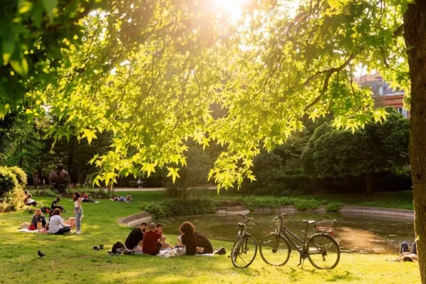 bandeau_jardin_royal.jpg
