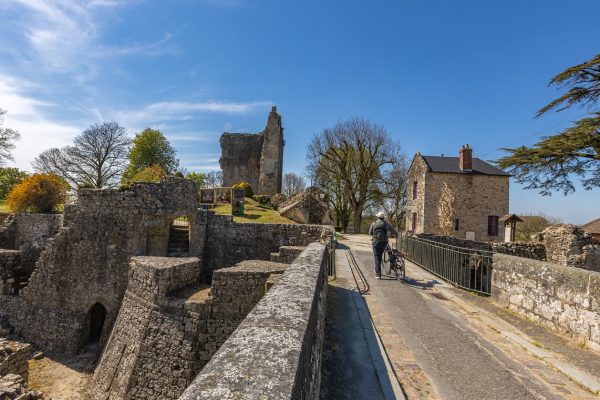 chateau-de-domfront
