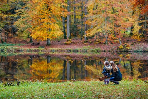 foret-de-belleme-enfant-s-lorkin-1600x900