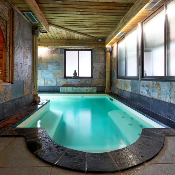 hotel-spa-le-lion-d-or-piscine-pont-l-eveque-054676