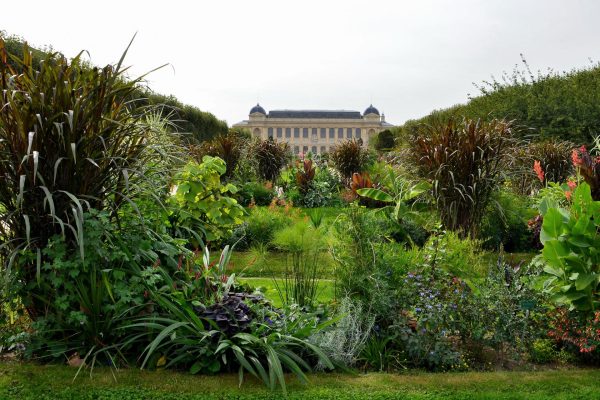 jardin_des_plantes_facade_de_la_grande_galerie_de_l_evolution_0