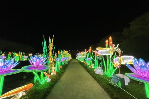 mini-mondes-illuminations-jardin-des-plantes-32-1024x768