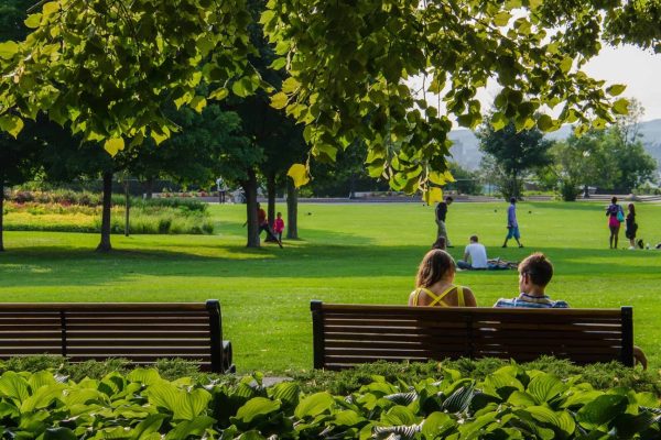 parc-1440x864