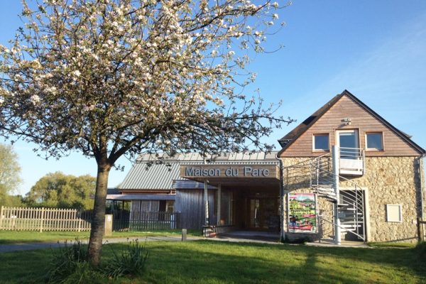 saint-come-du-mont-maison-du-parc-2-s.mahaux-pnr-maraisducotentinetbessin