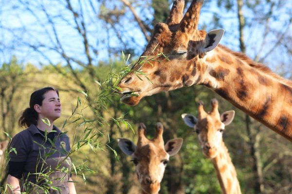 zoo-champrepus